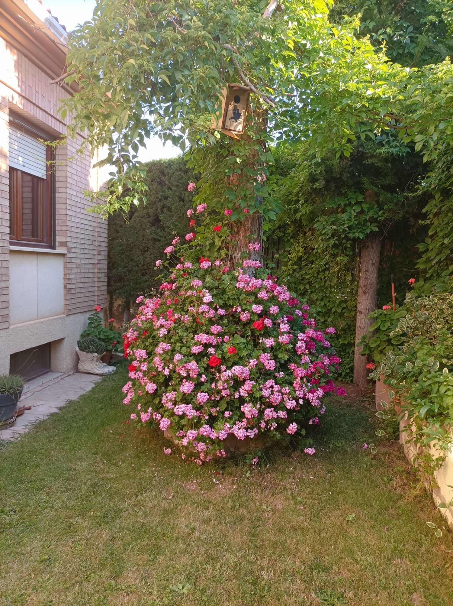 Chalet adosado en Avenida de la Molineta, 15 - Foto 5