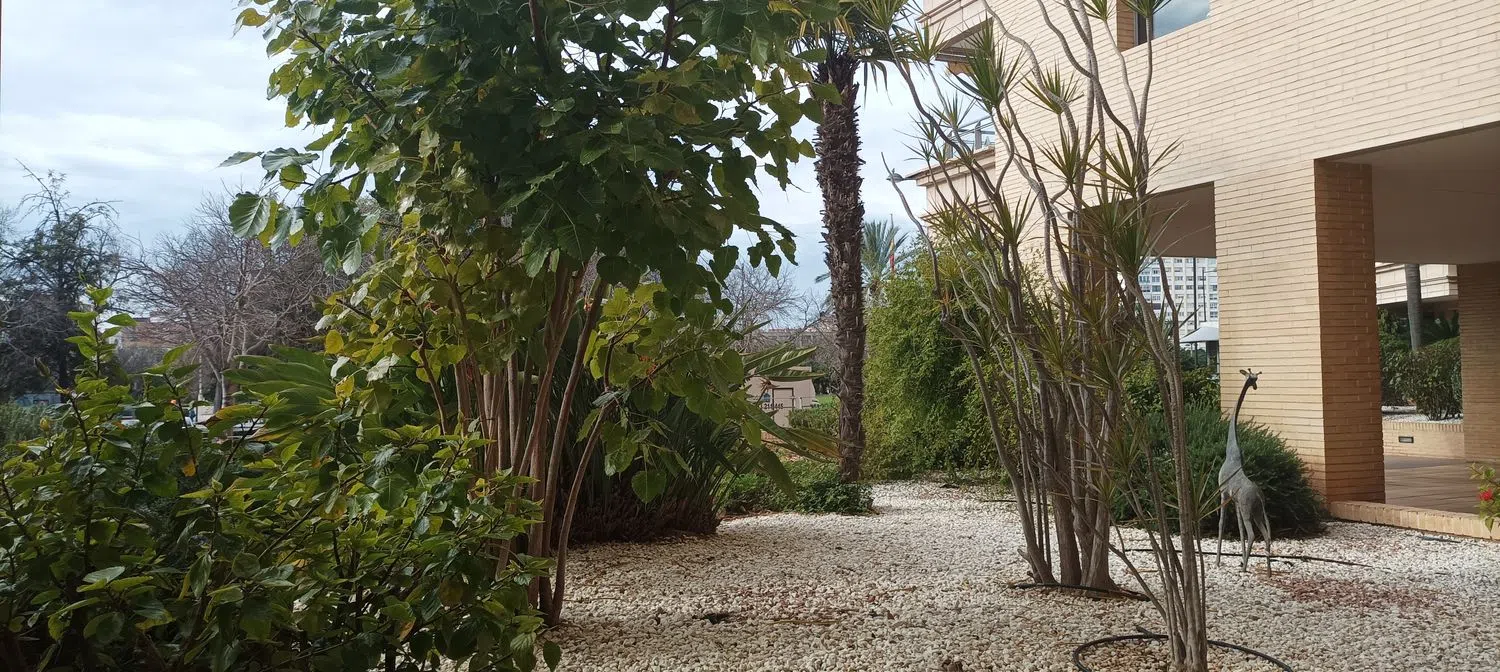 Piso en Barrio Penya-Roja - Foto 28