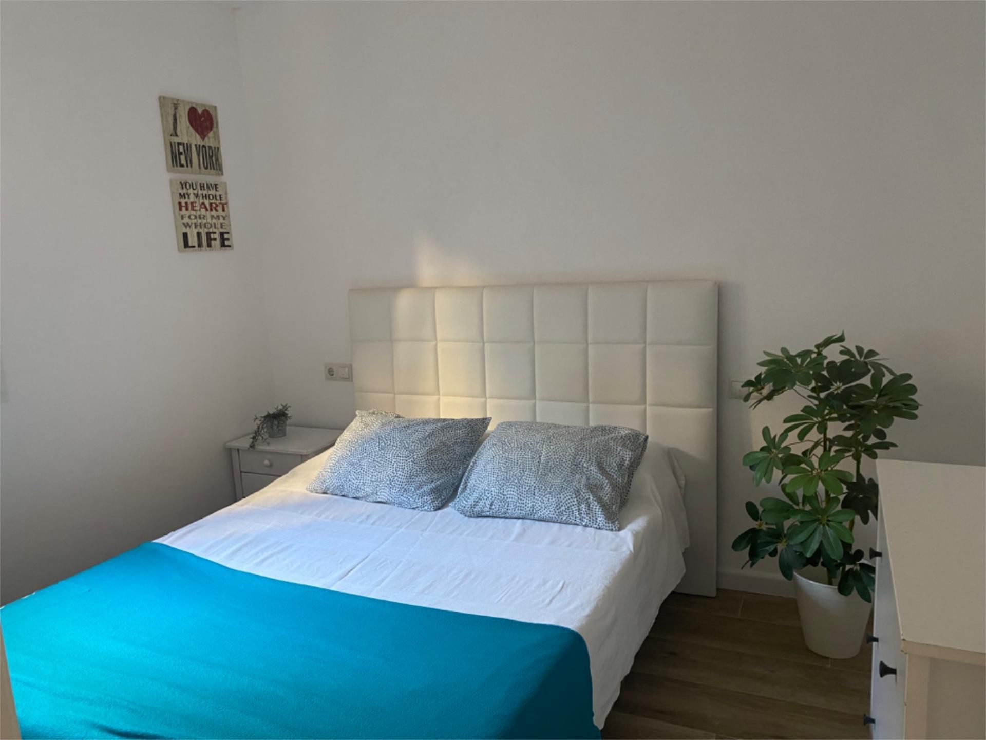 Planta baja en  Passeig de Dante 12 - Foto 2