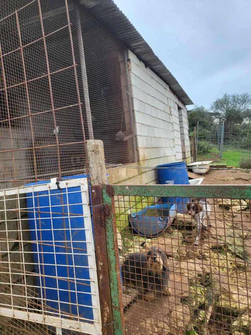 Finca rústica en  Calle Héctor Villa-Lobos 5 - Foto 2