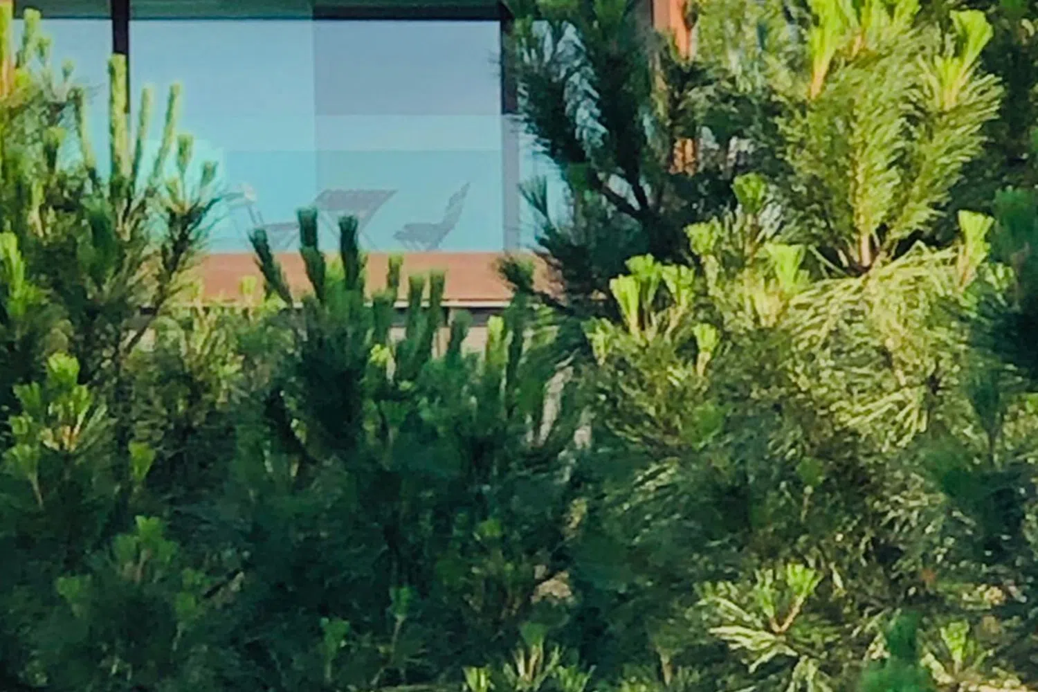 Ático en avenida de Portugal, 39 - Foto 15