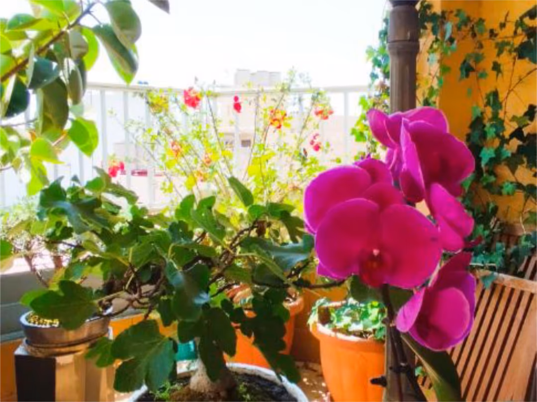 Ático en  Carrer Isidoro Antillón 11B - Foto 12