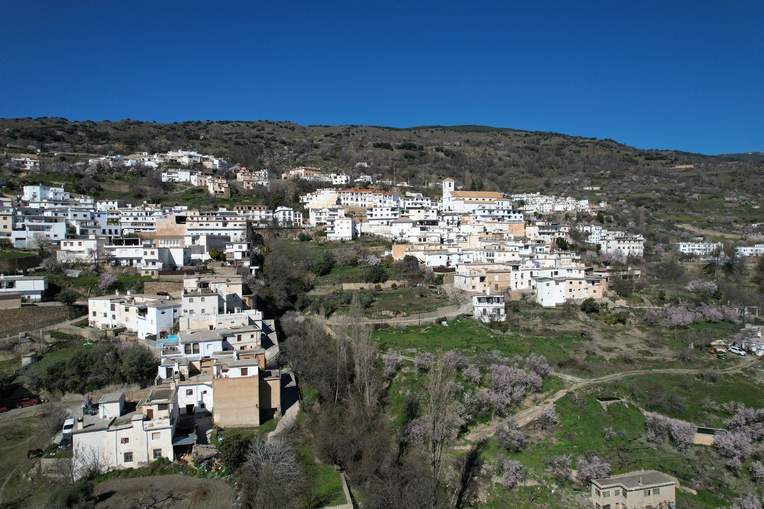 Cortijo en Calle San Pedro, 13 - Foto 38
