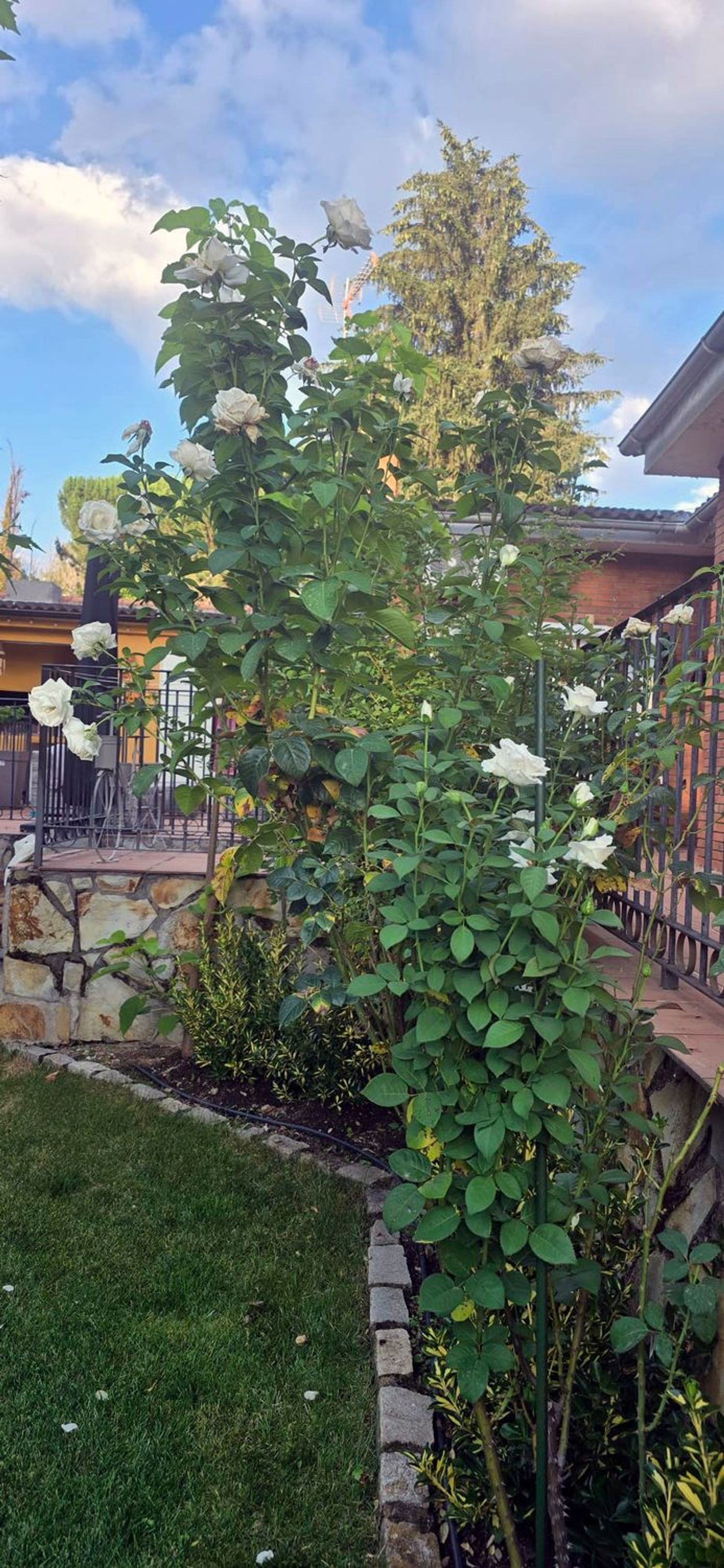 Casa de pueblo en Calle 15, 8 - Foto 32