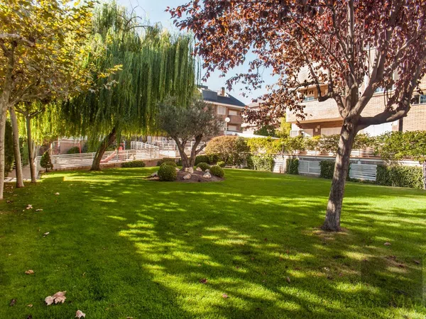 Piso en Avenida de la Oliva, 6, Golf - El Carralero - Foto 8