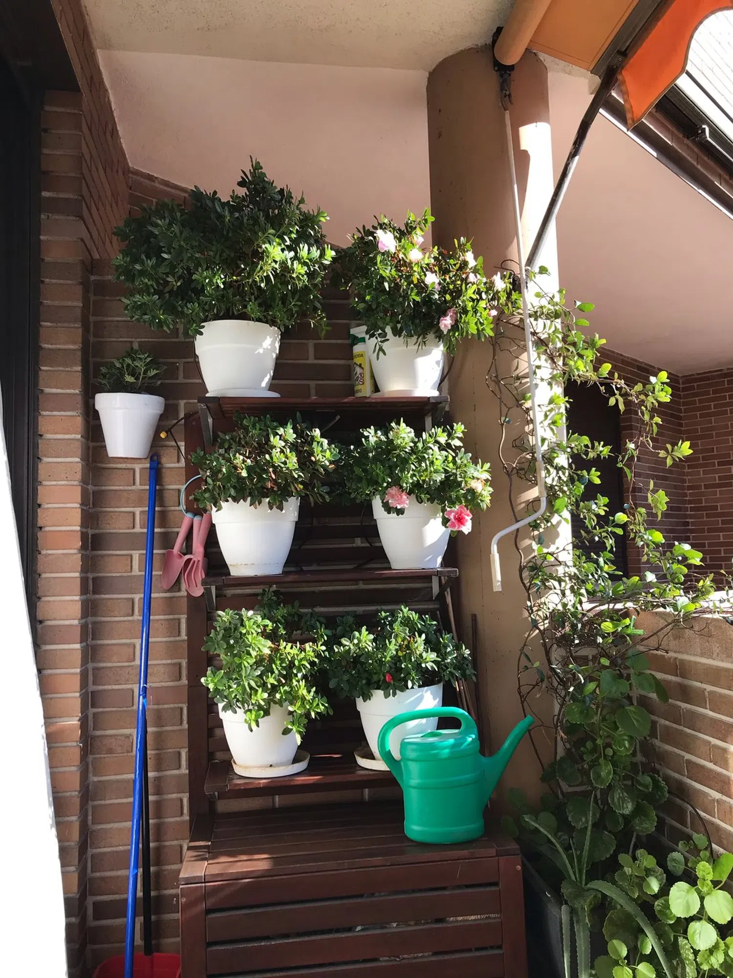 Piso en calle de Nanclares de Oca, 38 - Foto 1