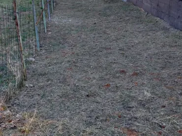 Terreno Residencial en  Carrer de l'Arbreda 74 - Foto 1