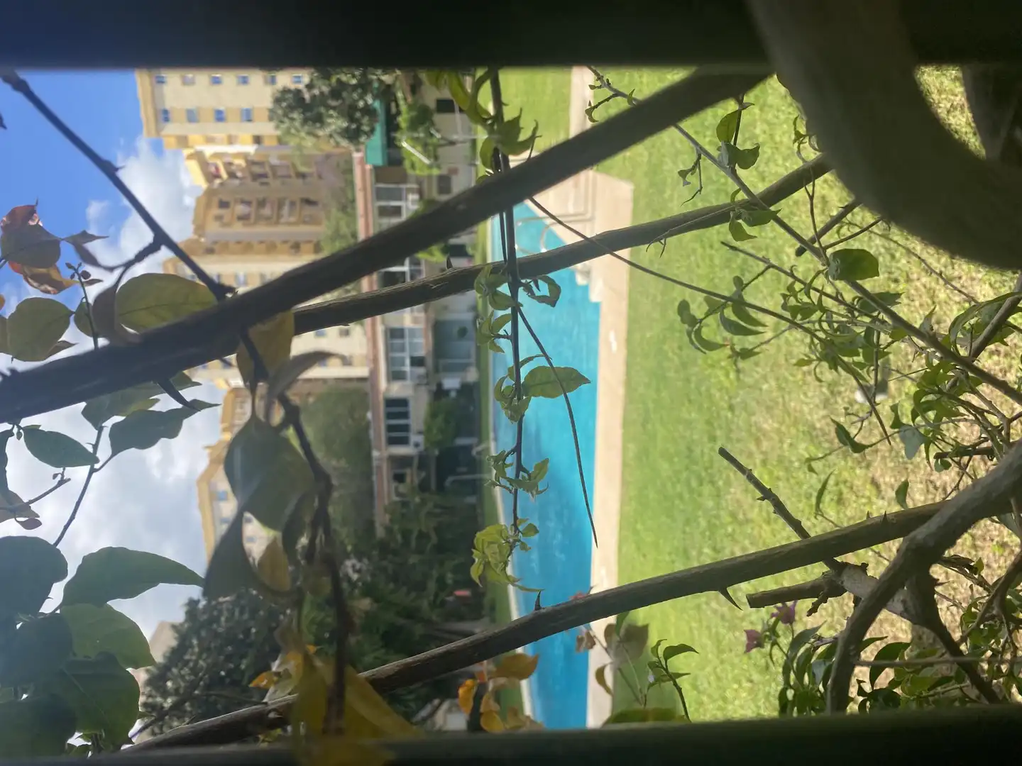 Apartamento en  Avenida Ricardo Soriano 35 - Foto 14