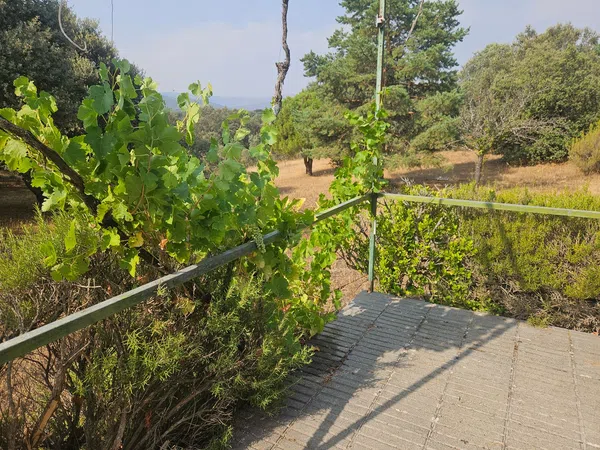 Casa rural en Zarzo del Molino s/n - Foto 2