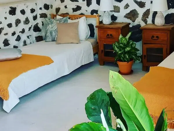 Casa o chalet independiente en Calle Cerco de Los Franquiz, 9, Lajares, Lajares - Foto 9
