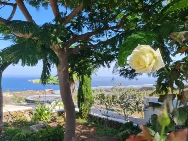 Casa o chalet independiente en Primera Transversal, 40 , b, Tacoronte - Los Naranjeros, Tacoronte - Los Naranjeros - Foto 4
