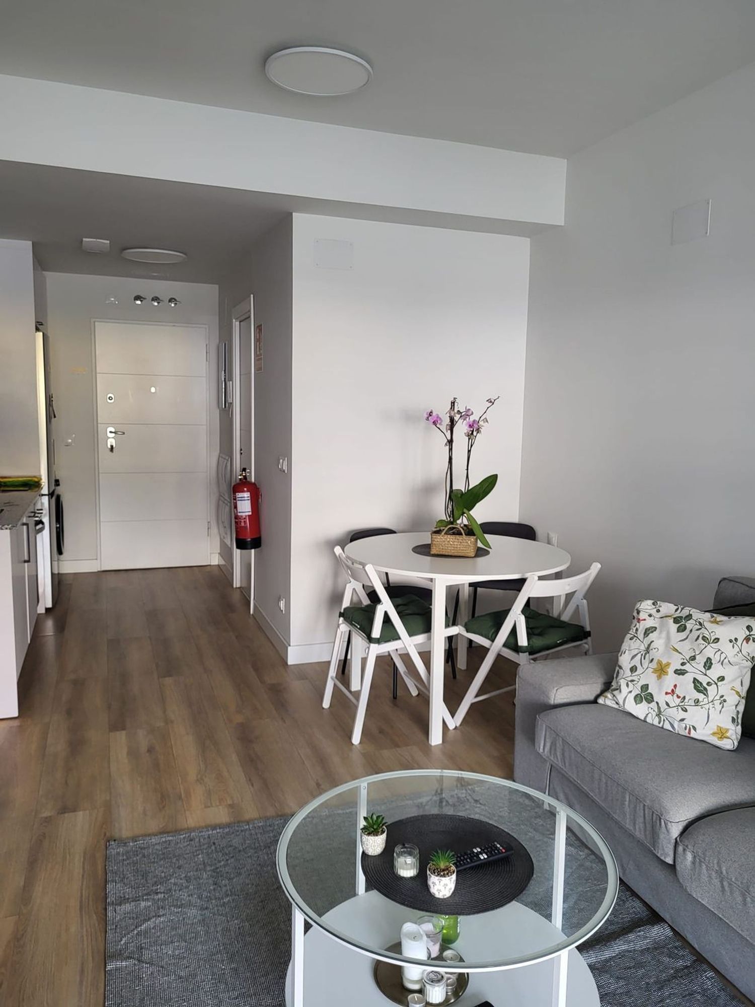 Estudio en paseo de Europa, 30 - Foto 8