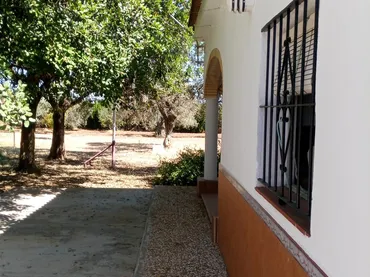 Finca rústica en  Calle Francisco Palacio Ortega 1 - Foto 26