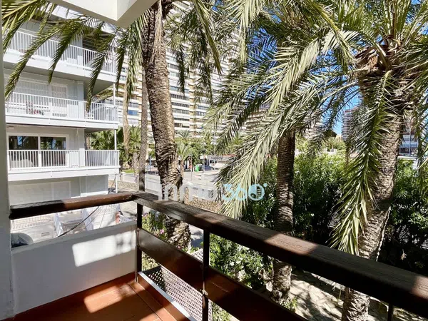 Chalet adosado en Calle Escocia, Playa de San Juan - Foto 8