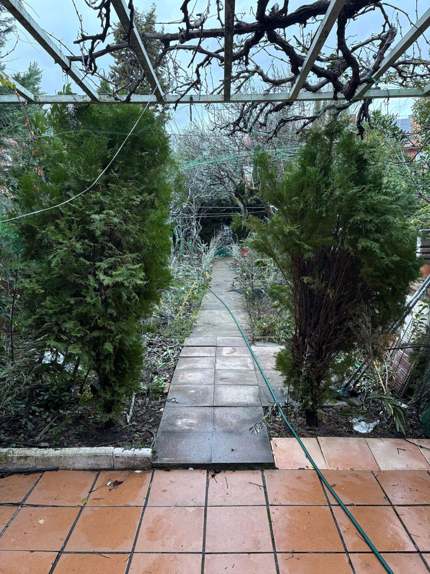 Chalet adosado en El Pilar - Bripac - Foto 9