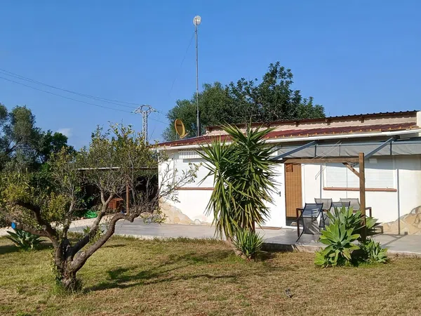 Finca rústica en Plaza Poligono 14, 57 Parcela, Las Atalayas - Urmi - Cerro Mar, Las Atalayas - Urmi - Cerro Mar - Foto 3