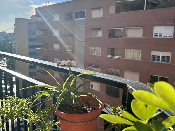 Piso en Calle de Màlaga, 41, Marxalenes - Foto 18