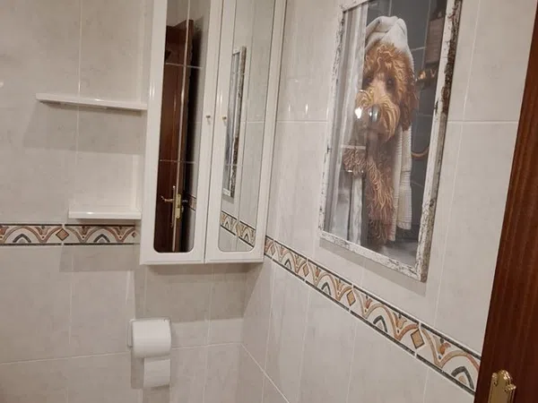 Piso en La libertad, 91 - Foto 10
