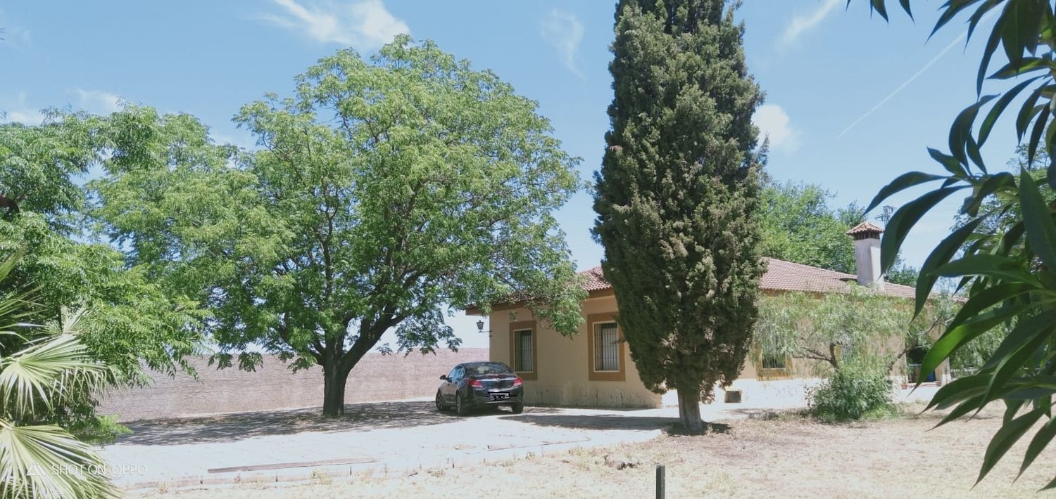 Casa o chalet independiente en Urbanización las Monjas, 516 - Foto 4