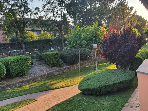 Piso en Avenida de Mallorca, 16, El Pinar- Punta Galea - Foto 18