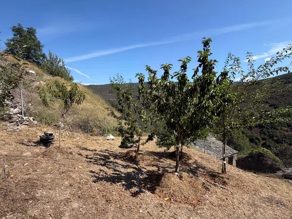 Casa de pueblo en Quintá de Moia, 2 - Foto 4