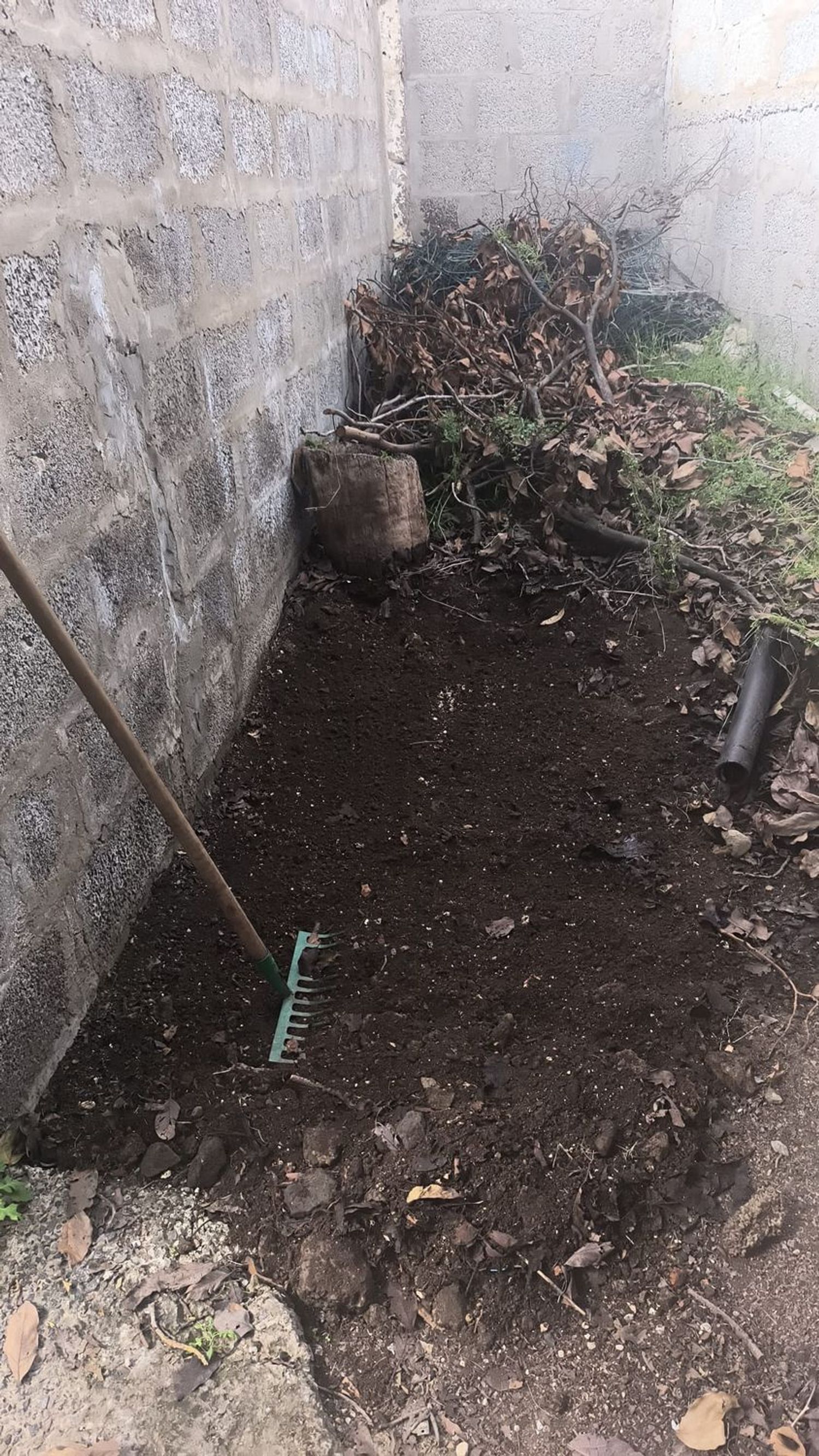 Casa de pueblo en Calle el Riillo, 29, Agüimes, Agüimes - Foto 4