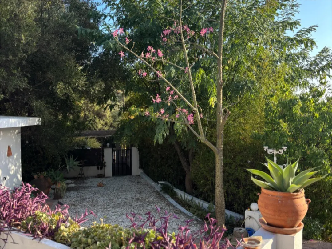 Chalet en  Calle de la Palmera 6 - Foto 7