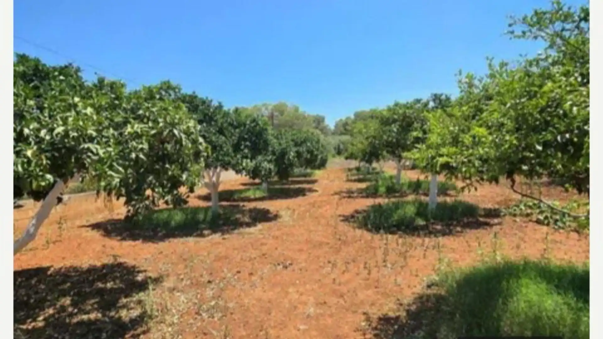 Finca rústica en  Diseminado 8746- Sa Casa Blanca 1 - Foto 29