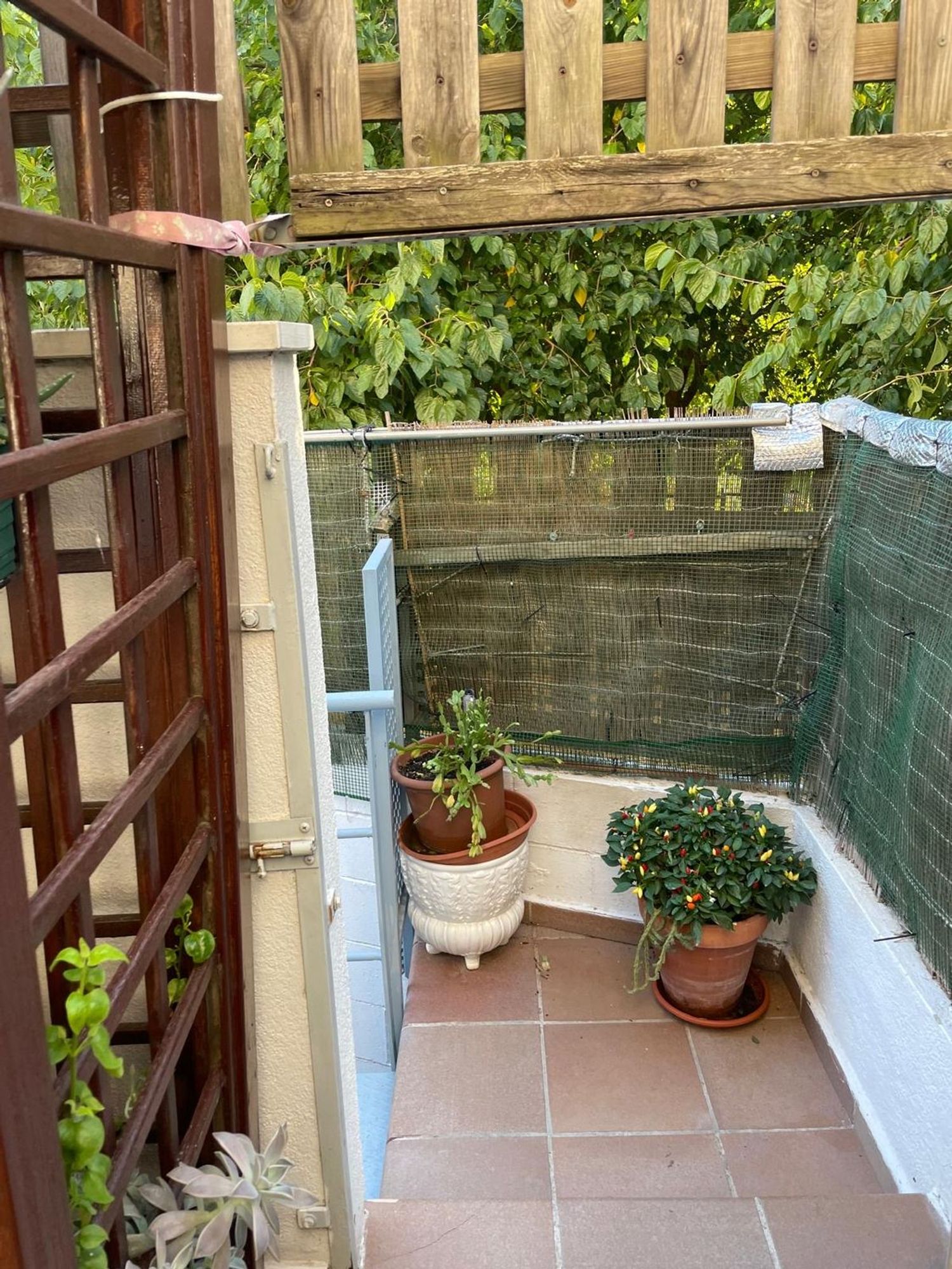 Piso en Calle de García Lorca, 7, Sant Pere, Sant Pere - Foto 25