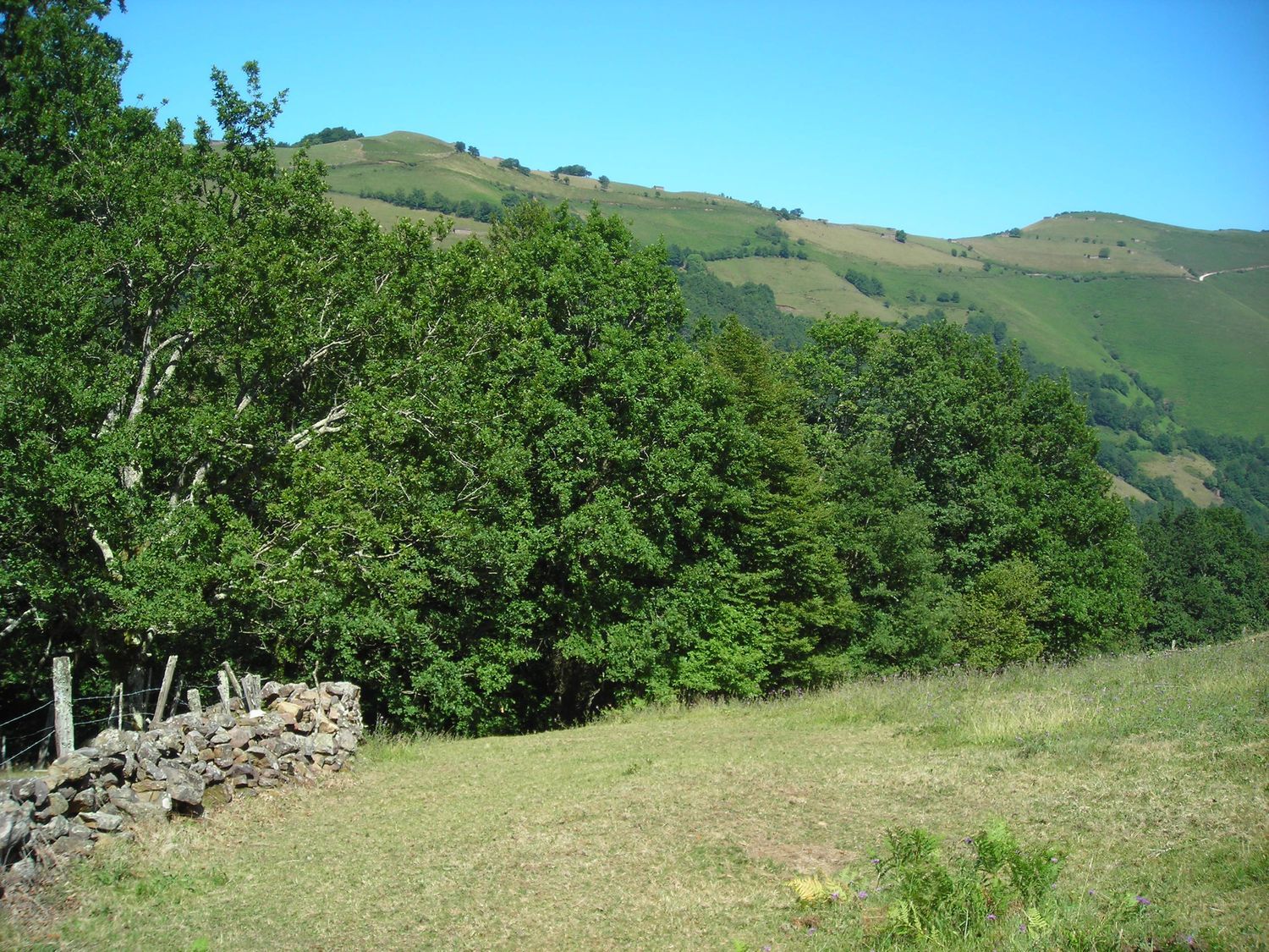 Casa rural en Barrio Viaña s/n s/n - Foto 26