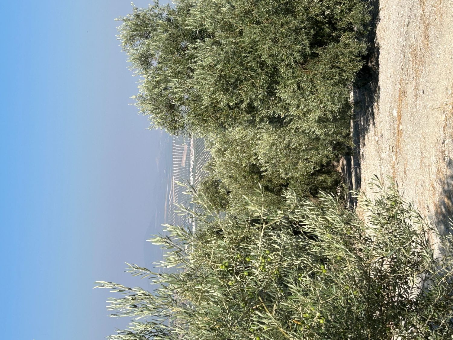 Cortijo en Cortijo en Diseminado Albaicin, 63 - Foto 20