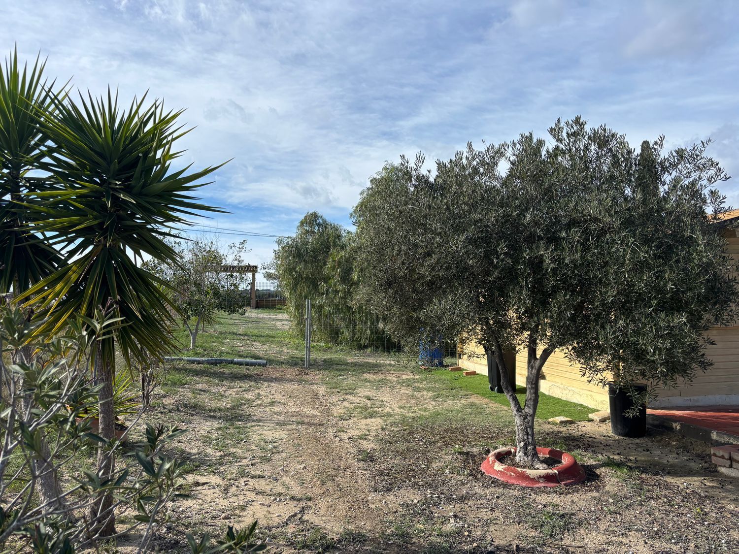Finca rústica en calle Fc Ladrillo, 11 - Foto 9