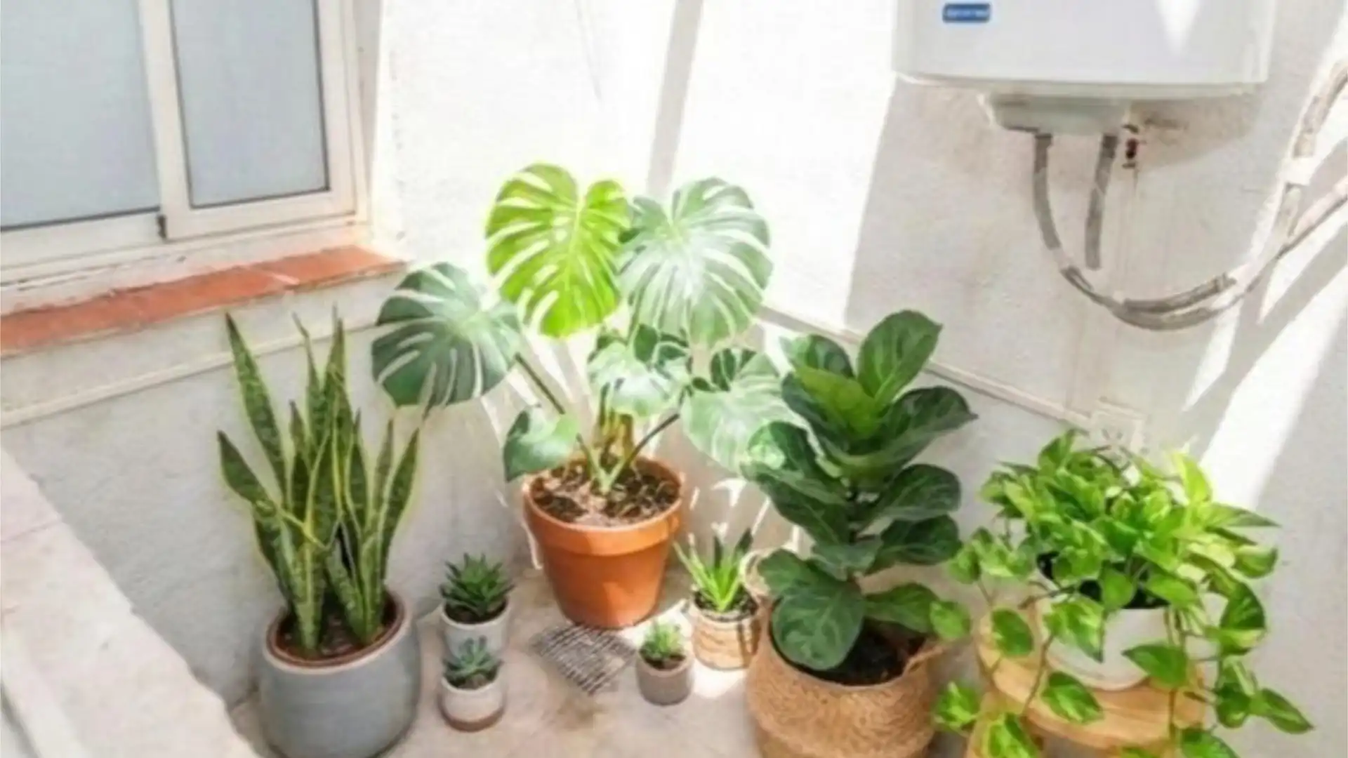 Piso en  Carrer de Rodrigo Caro 40 - Foto 16