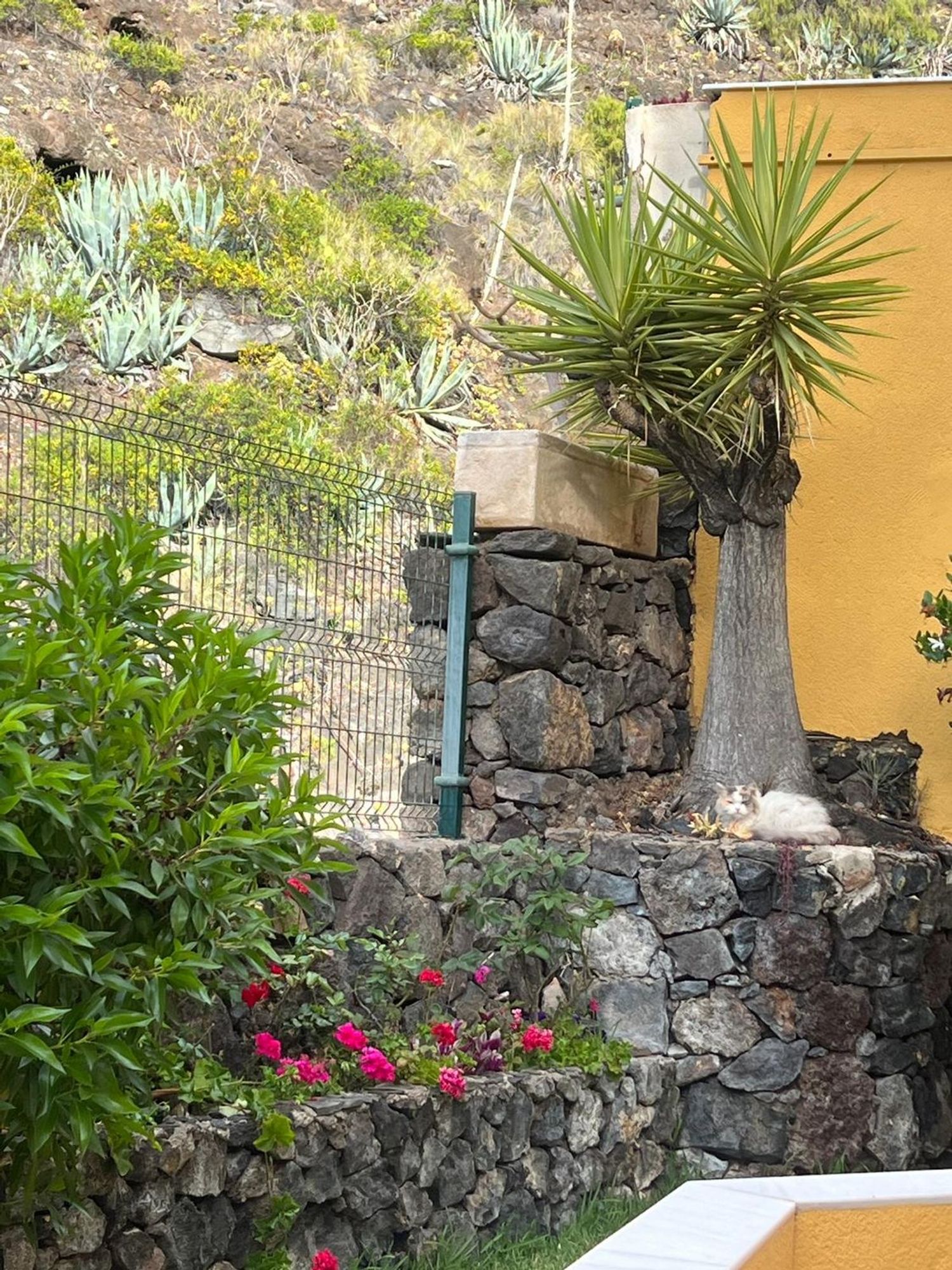 Piso en Calle Rubens Marichal López, 67 a, Ifara-Las Mimosas - Foto 14
