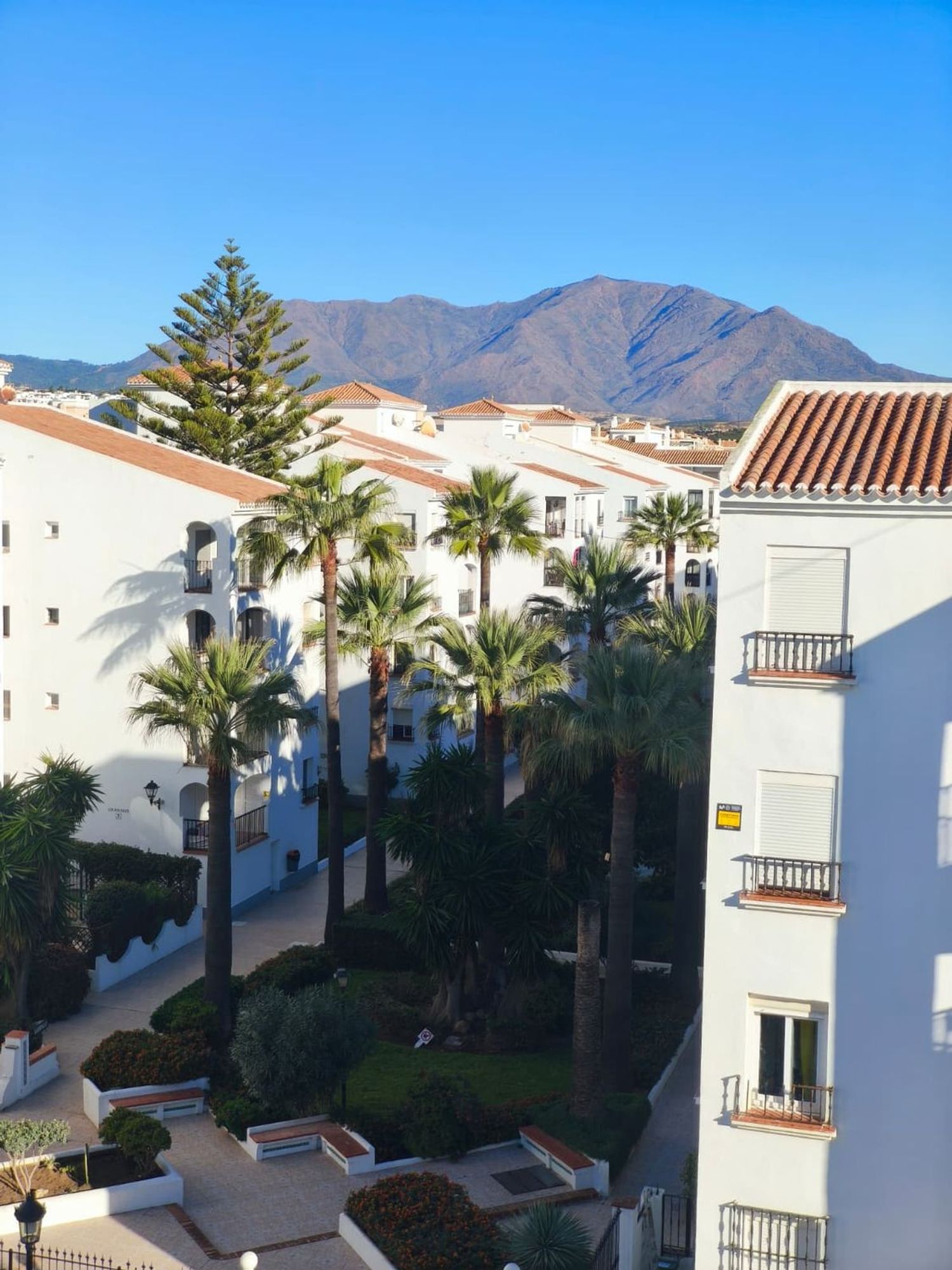 Piso en calle Duquesa de Arcos, 14 - Foto 16