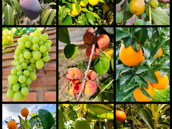 Casa independiente en Carretera, 188 - Foto 33