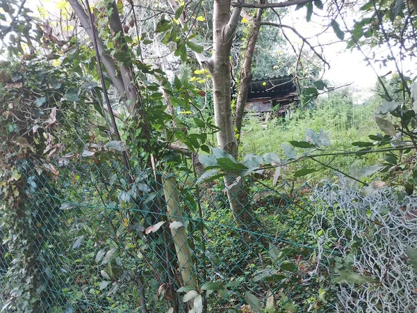 Casa de pueblo en Cristo de la Trave, 9 - Foto 3