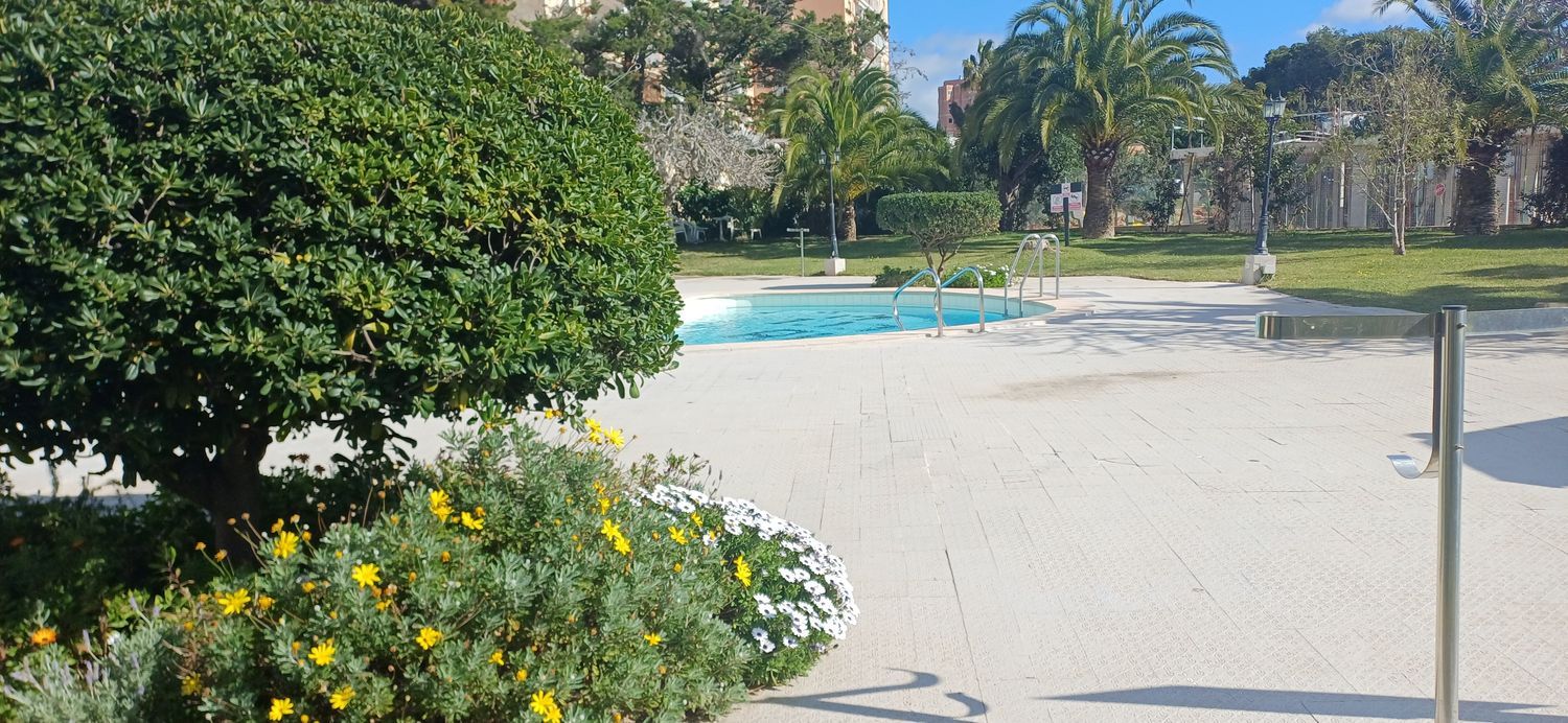 Piso en Palmanova - Foto 29