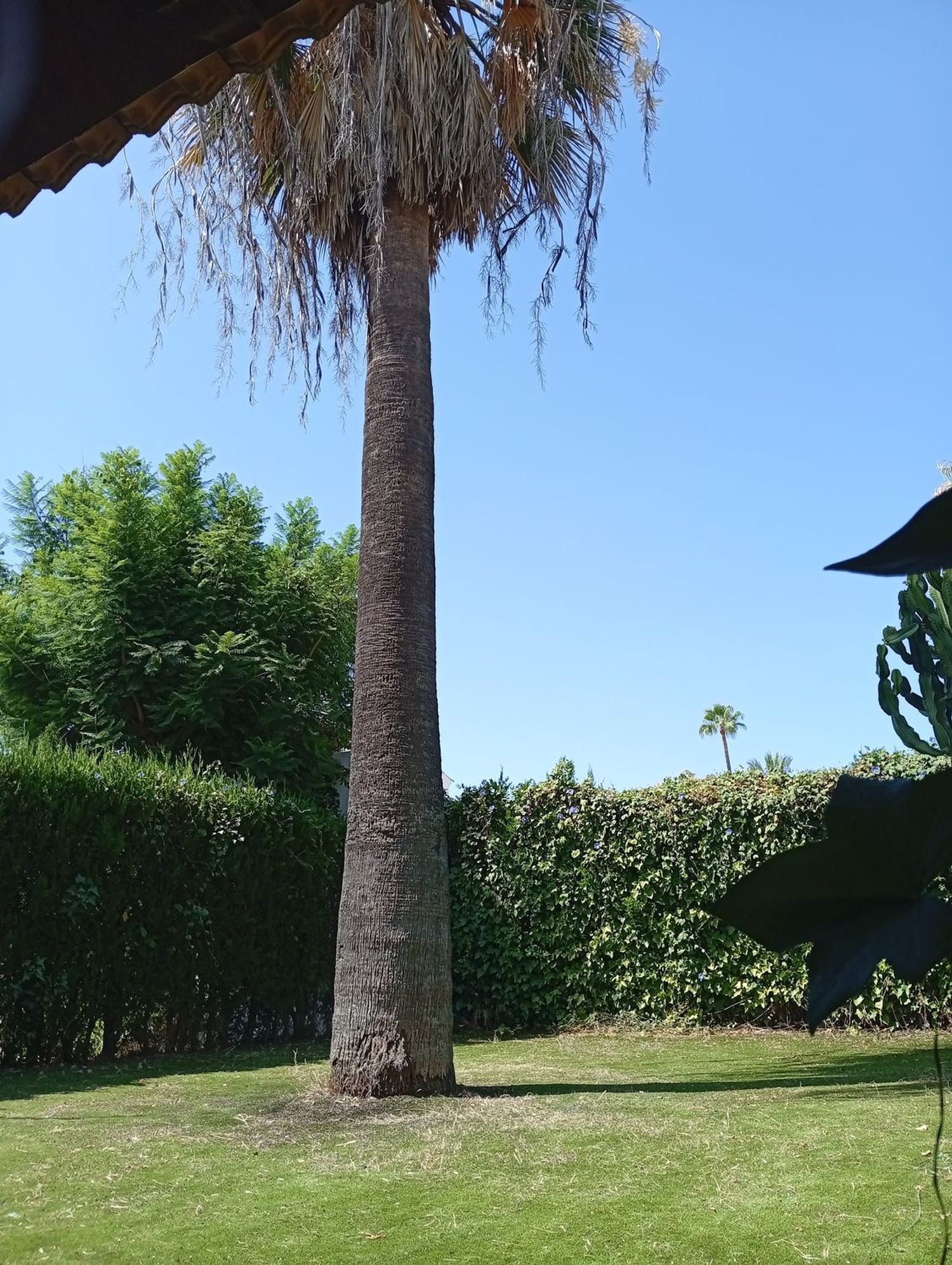 Chalet adosado en Urbanización el Ariscal, 1 - Foto 32