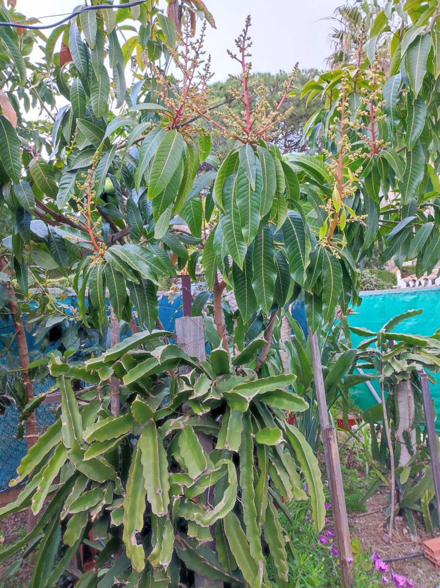 Chalet adosado en calle Almería, 63 - Foto 25