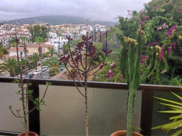 Apartamento en Botánico - Foto 5