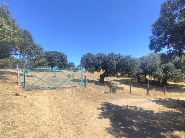 Finca rústica en Avenida de Constitución s/n - Foto 23