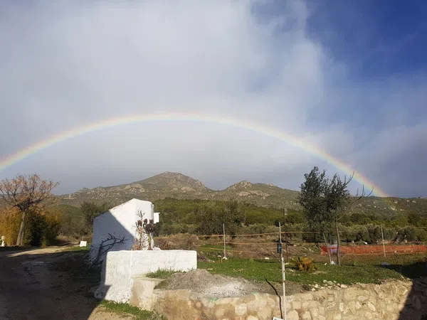 Cortijo en Cortijo en El Roble s/n - Foto 26