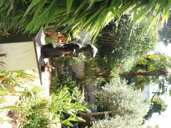 Chalet pareado en carretera Cc-431 s/n - Foto 21