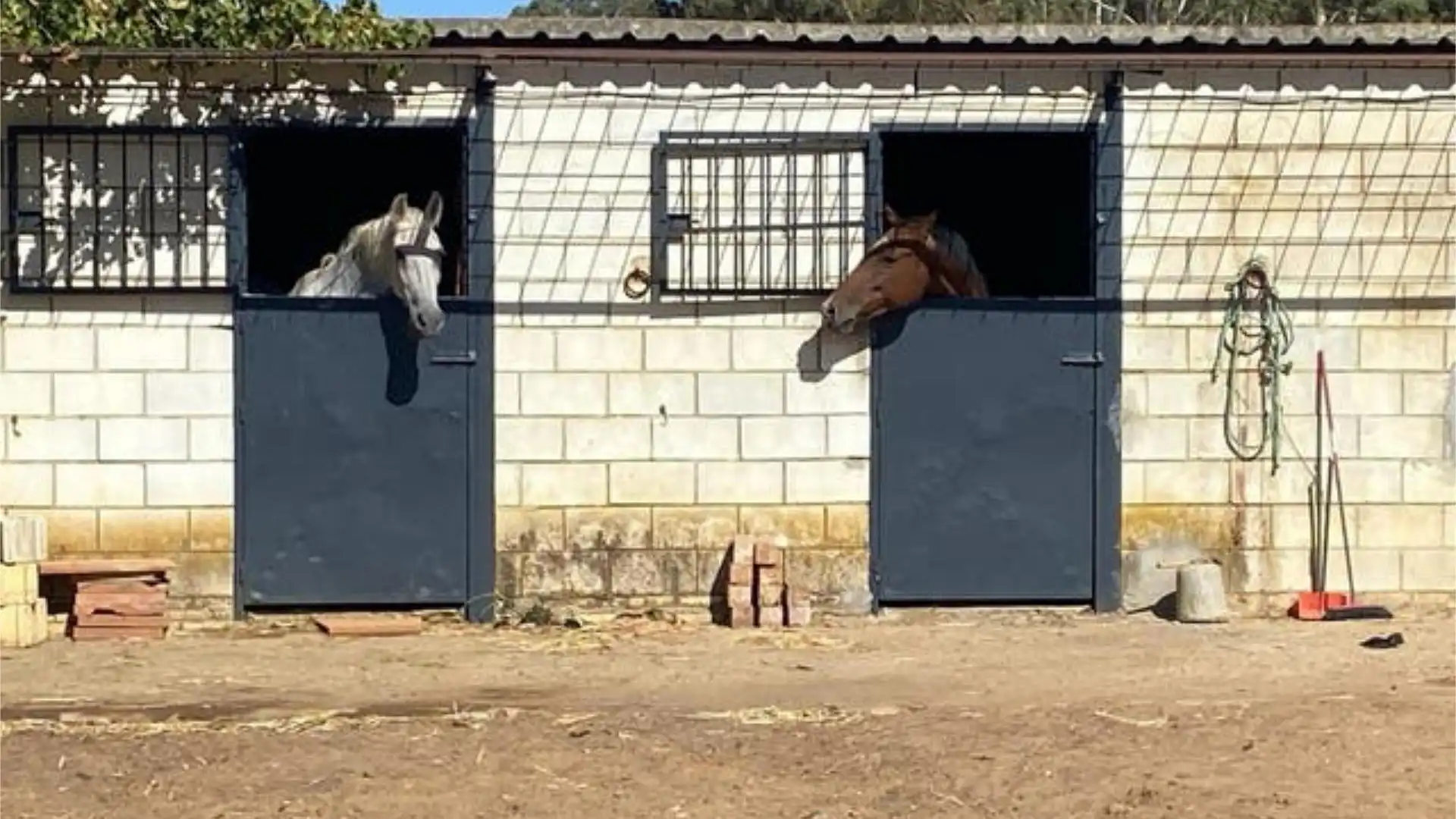 Casa adosada en Urbanizacion el regidor - Foto 7