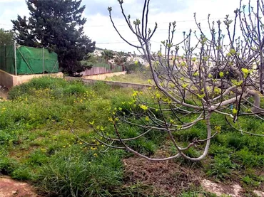 Piso en  Lugar el Majuelo Bajo 4 - Foto 41