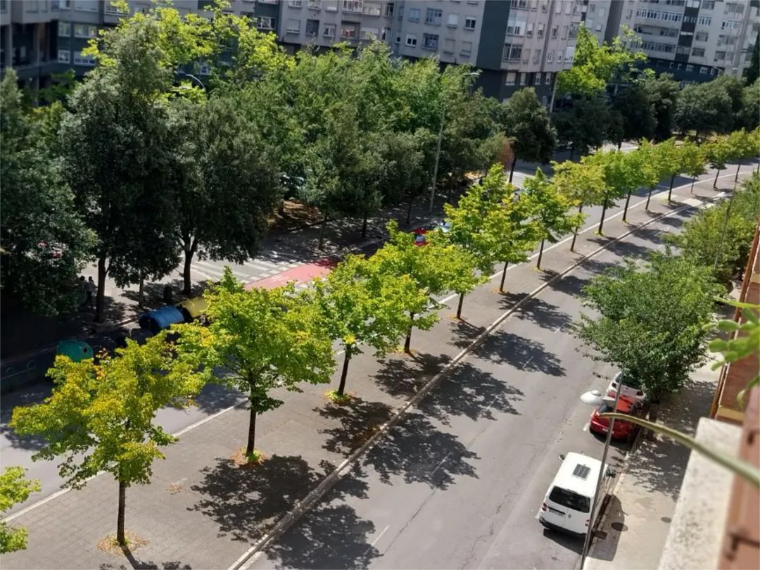 Piso en  Obispo Ballester Kalea 8 - Foto 13