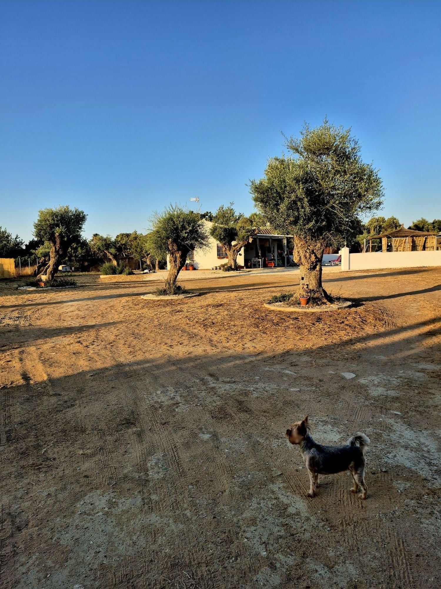 Finca rústica en Coria del Río - Foto 25
