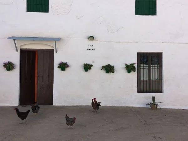 Cortijo en Cortijo en Paraje Santa Cruz, 98 - Foto 4