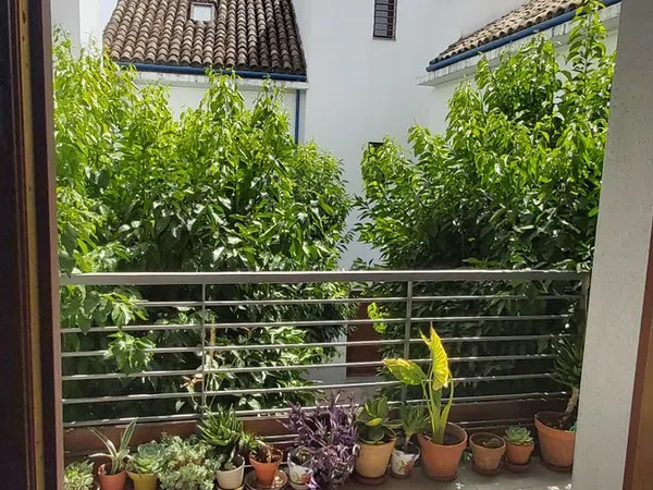 Dúplex en calle de Isabel II, 14 - Foto 18